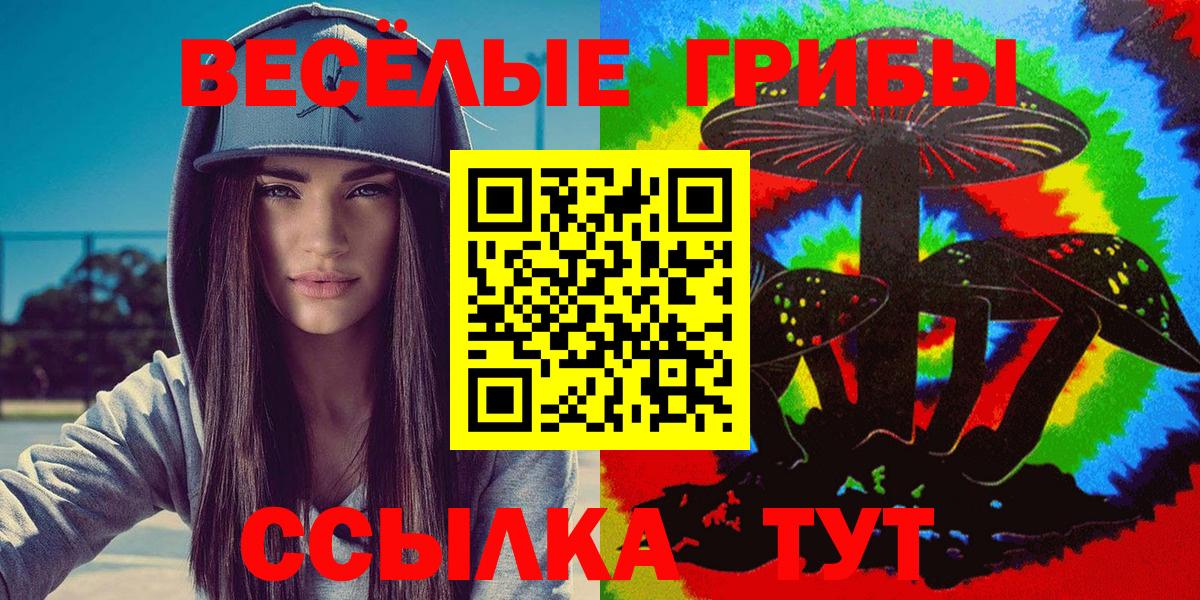 Губаха  Галлюциногенные грибы Magic Shrooms  Вход с VPN 