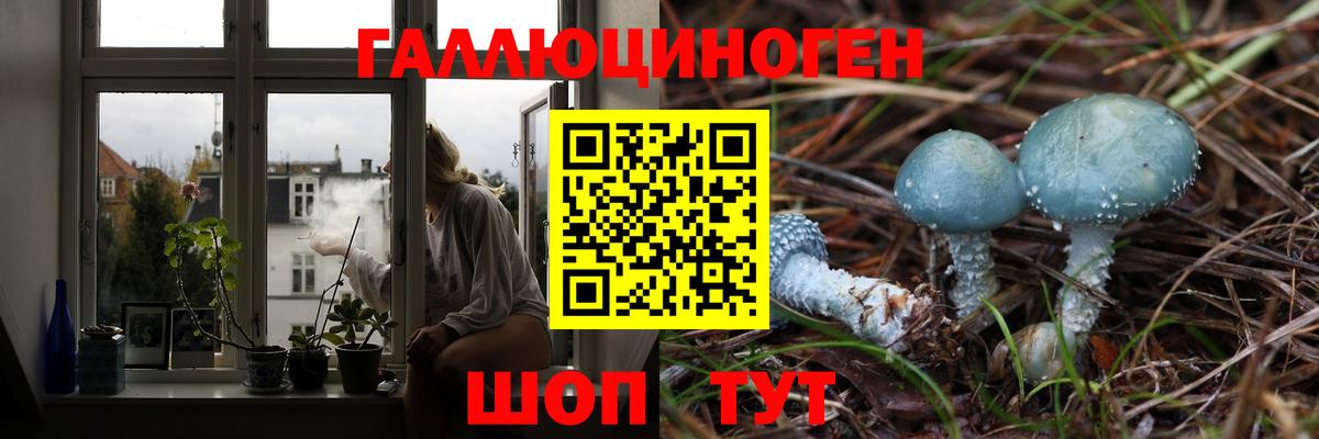 Псилоцибиновые грибы мицелий Губаха